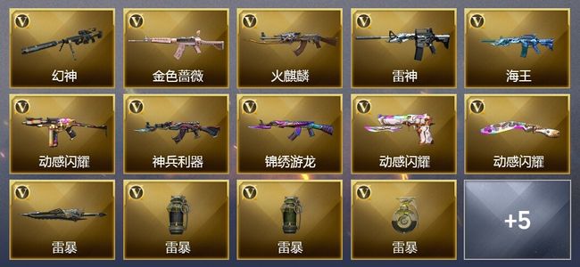 穿越火线（CF）19V武器 5皮肤 可排位