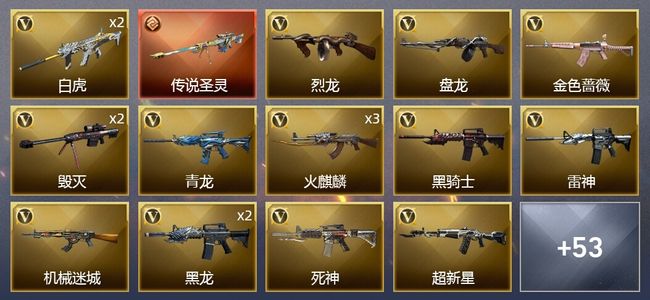 穿越火线（CF）1传说武器 3王者武器 7炫金武器 61V武器 2V角色 20皮肤 可排位 传奇