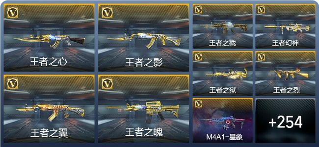 穿越火线：枪战王者V9 26王者武器 291英雄武器 10英雄角色 732万化 枪王SSS