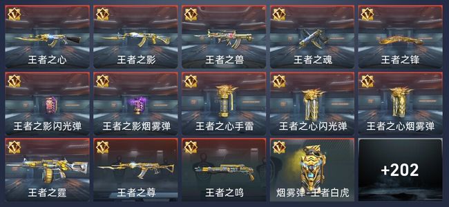 穿越火线：枪战王者V7 14王者 211英雄武器 5英雄角色 408万化 新锐