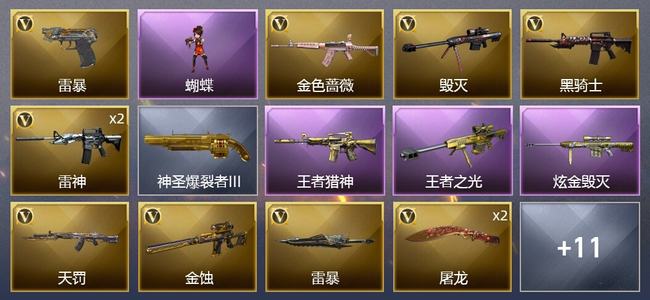 穿越火线（CF）2王者武器 1炫金武器 26V武器 2V角色 5皮肤 可排位 专家