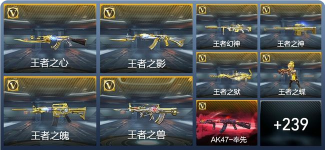 穿越火线：枪战王者28王者武器 248英雄武器 10英雄角色 452万化 专家S