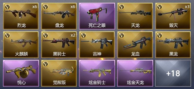 穿越火线（CF）1王者武器 2炫金武器 37V武器 1V角色 3皮肤 可排位 新锐