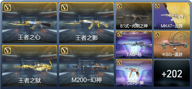 穿越火线：枪战王者V5 13王者武器 211英雄武器 6英雄角色 349万化 枪王SSS