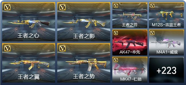 穿越火线：枪战王者24王者武器 232英雄武器 9英雄角色 465万化 专家S