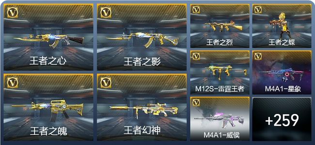 穿越火线：枪战王者V9 17王者武器 315英雄武器 10英雄角色 637万化 枪皇SSS