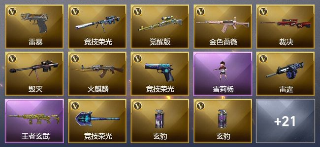 穿越火线（CF）2王者武器 30V武器 1V角色 9皮肤 可排位