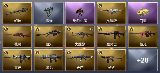 穿越火线（CF）3王者武器 2炫金武器 28V武器 2V角色 6皮肤 可排位 枪王