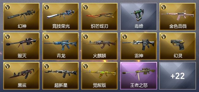 穿越火线（CF）1王者武器 1炫金武器 40V武器 27皮肤 可排位 新锐