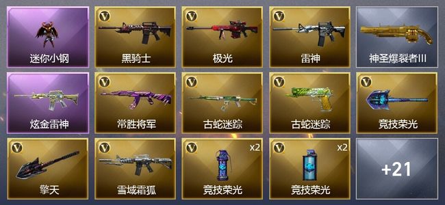 穿越火线（CF）1炫金武器 15V武器 2V角色 6皮肤 可排位 新锐