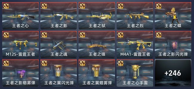 穿越火线：枪战王者23王者 252英雄武器 8英雄角色 455万化 枪王
