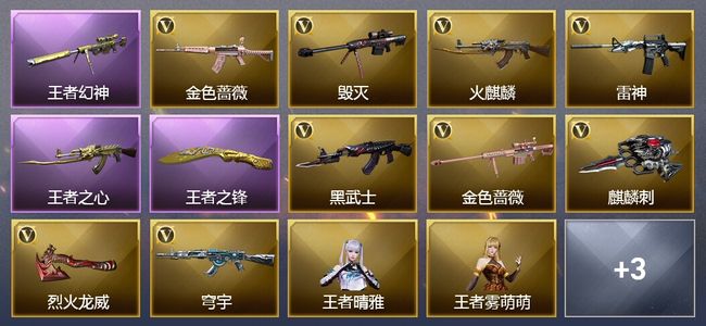 穿越火线（CF）3王者武器 9V武器 2V角色 5皮肤 可排位 枪王