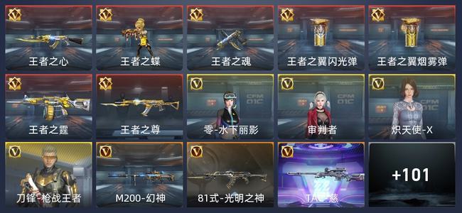 穿越火线：枪战王者7王者 111英雄武器 4英雄角色 205万化 新锐