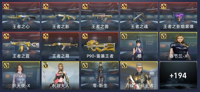 穿越火线：枪战王者8王者 202英雄武器 6英雄角色 237万化 专家S