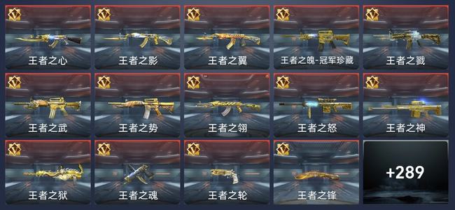穿越火线：枪战王者V9 29王者 291英雄武器 12英雄角色 201万化 传奇