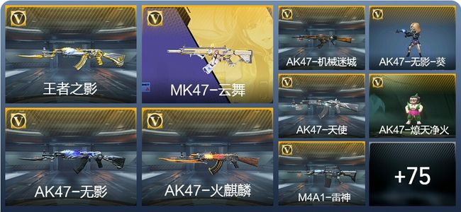 穿越火线：枪战王者V5 2王者武器 93英雄武器 3英雄角色 287万化 枪王S