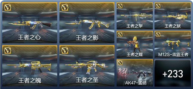 穿越火线：枪战王者25王者武器 242英雄武器 6英雄角色 459万化 专家S