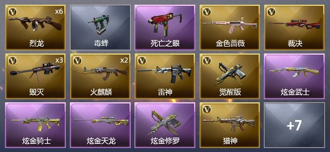 穿越火线（CF）4炫金武器 24V武器 1V角色 2皮肤 可排位 传奇