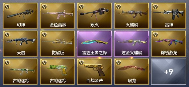 穿越火线（CF）1王者武器 1炫金武器 20V武器 10皮肤 可排位 新锐