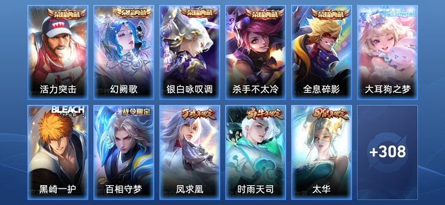 王者荣耀V10 5典藏 25传说 97史诗 319皮肤 非凡王者