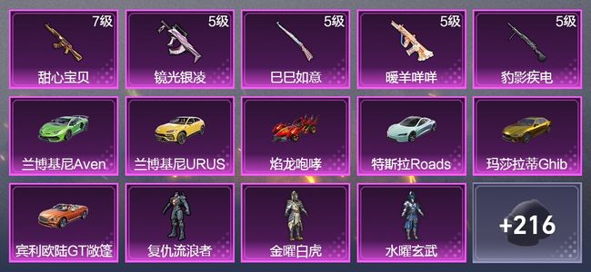 和平精英6载具 5升级枪 6粉装 1飞行器 132枪皮 95套装 50423热力 3印记