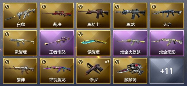 穿越火线（CF）1王者武器 2炫金武器 22V武器 1皮肤 可排位 传奇