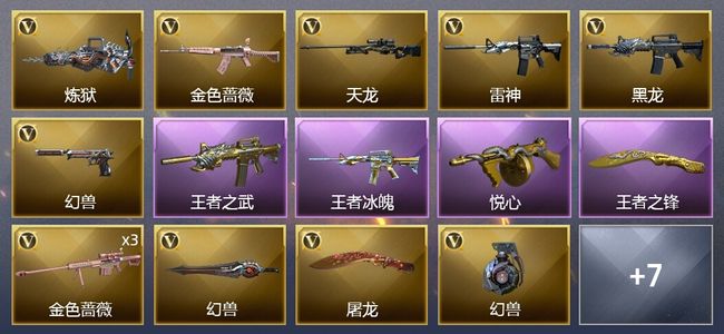 穿越火线（CF）4王者武器 14V武器 1V角色 8皮肤 可排位 新锐