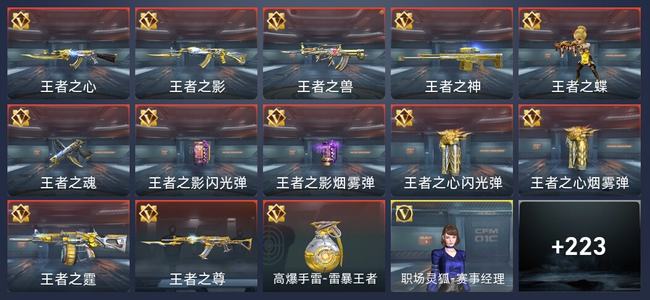 穿越火线：枪战王者13王者 228英雄武器 9英雄角色 425万化 新锐