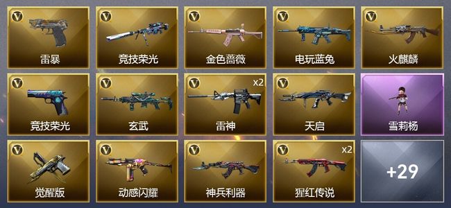 穿越火线（CF）43V武器 1V角色 15皮肤 可排位 新锐