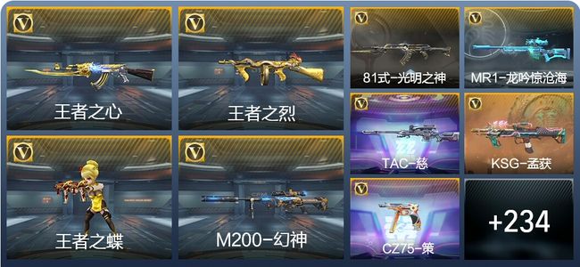 穿越火线：枪战王者V7 9王者武器 243英雄武器 5英雄角色 324万化 专家S