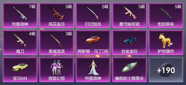 和平精英4载具 7升级枪 2粉装 114枪皮 81套装 42498热力 7印记 王牌