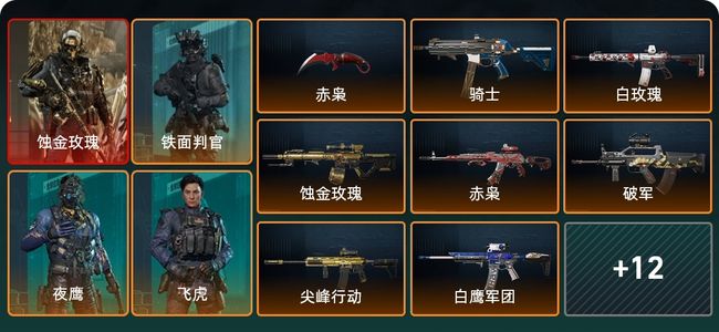 三角洲行动总资产242.3M 4干员外观 1传说近战 19传说枪械 黑鹰
