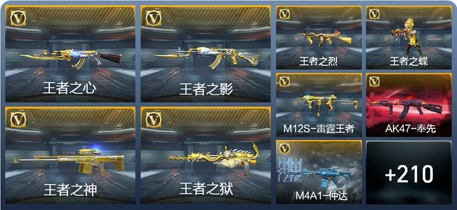 穿越火线：枪战王者V6 24王者武器 219英雄武器 8英雄角色 299万化 专家S