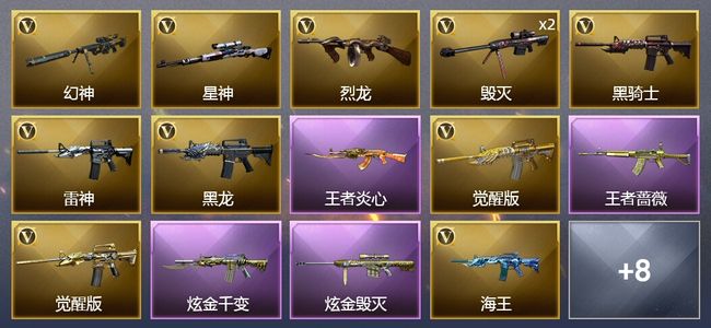 穿越火线（CF）2王者武器 2炫金武器 17V武器 1V角色 12皮肤 可排位