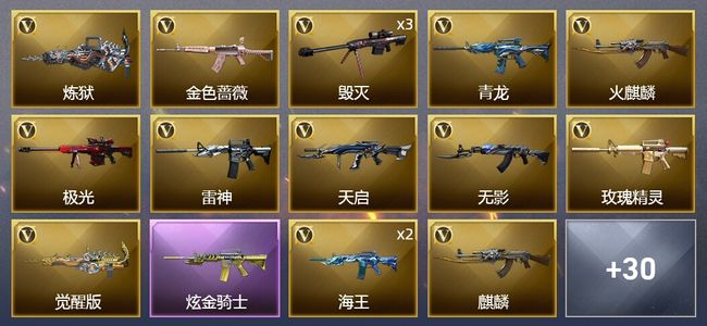 穿越火线（CF）1炫金武器 37V武器 1V角色 25皮肤 可排位 新锐