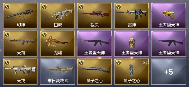 穿越火线（CF）4王者武器 14V武器 1皮肤 可排位 新锐