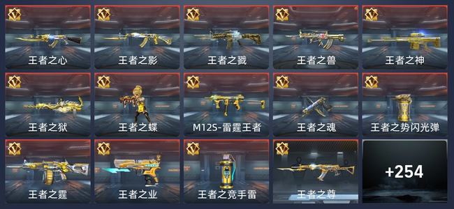 穿越火线：枪战王者V6 16王者 257英雄武器 11英雄角色 407万化 专家S