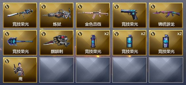 穿越火线（CF）13V武器 1V角色 5皮肤 可排位 宗师