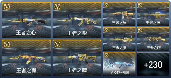 穿越火线：枪战王者22王者武器 239英雄武器 10英雄角色 649万化 枪王SSS