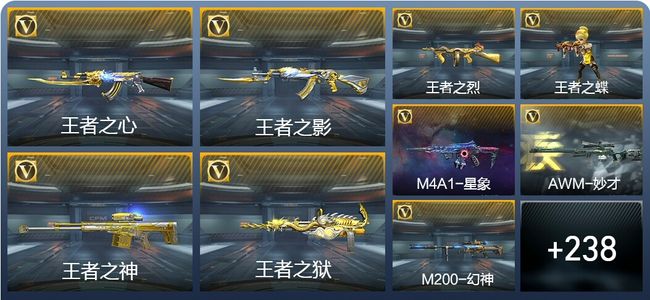 穿越火线：枪战王者V6 13王者武器 247英雄武器 6英雄角色 396万化 枪王S