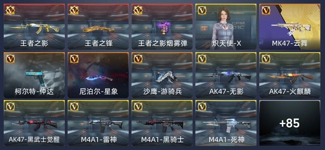 穿越火线：枪战王者V6 3王者 106英雄武器 1英雄角色 195万化 专家S
