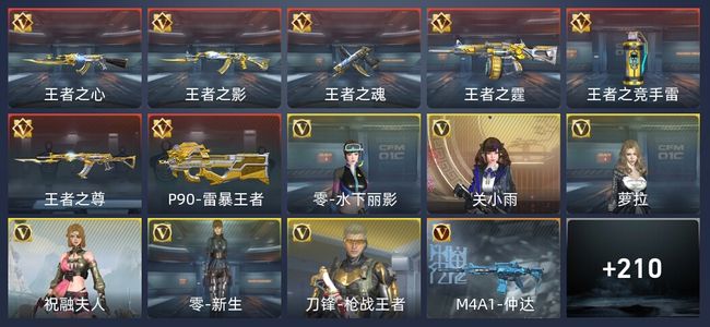 穿越火线：枪战王者7王者 218英雄武器 6英雄角色 313万化 枪王SS