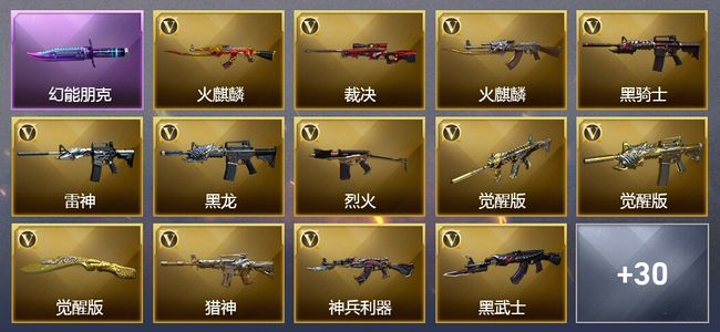 穿越火线（CF）2王者武器 52V武器 1V角色 19皮肤 可排位