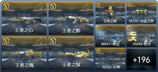 穿越火线：枪战王者V7 15王者武器 205英雄武器 11英雄角色 460万化 专家S