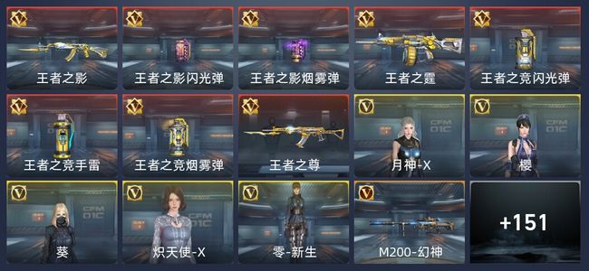 穿越火线：枪战王者V5 1炫闪 8王者 160英雄武器 5英雄角色 301万化 专家S