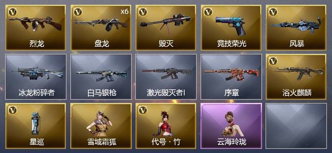 穿越火线（CF）10V武器 1V角色 7皮肤 可排位 专家