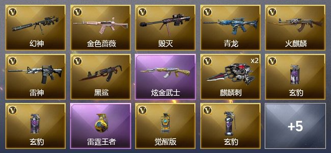 穿越火线（CF）1王者武器 1炫金武器 16V武器 1V角色 6皮肤 可排位 新锐