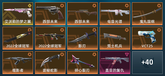 无畏契约12橙皮 1金皮 13紫皮 74皮肤 3,8840皮肤总价值 1035已用源晶 白银