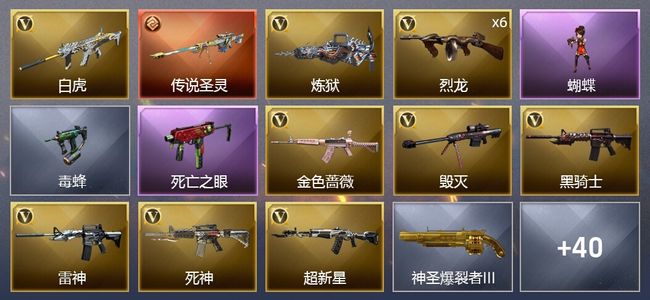 穿越火线（CF）1传说武器 2炫金武器 45V武器 2V角色 1皮肤 可排位 专家