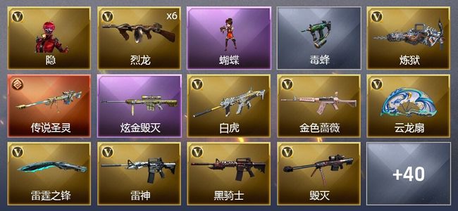 穿越火线（CF）1传说武器 2炫金武器 45V武器 2V角色 13皮肤 可排位 专家